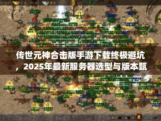 传世元神合击版手游下载终极避坑，2025年最新服务器选型与版本甄别实战手册