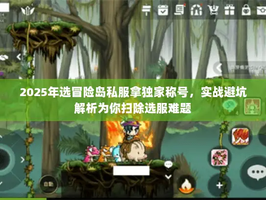 2025年选冒险岛私服拿独家称号，实战避坑解析为你扫除选服难题