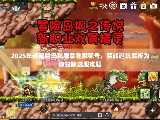 2025年选冒险岛私服拿独家称号，实战避坑解析为你扫除选服难题