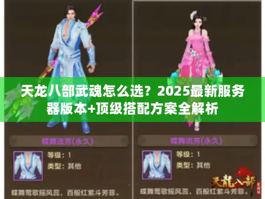 天龙八部武魂怎么选?2025最新服务器版本+顶级搭配方案全解析 天龙八部武魂怎么选?2025最新服务器版本+顶级搭配方案全解析
