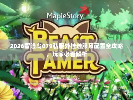 2026冒险岛079私服外挂选服及配置全攻略，玩家必看解析
