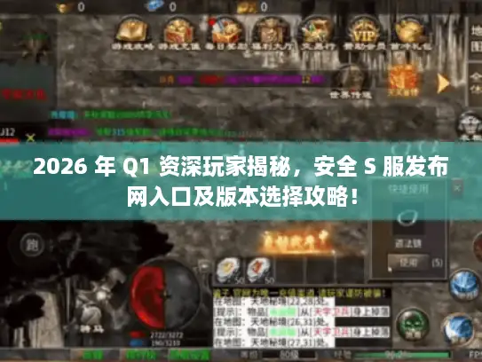 2026 年 Q1 资深玩家揭秘，安全 S 服发布网入口及版本选择攻略！