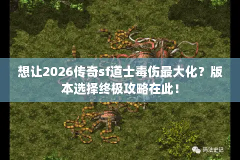 想让2026传奇sf道士毒伤最大化？版本选择终极攻略在此！