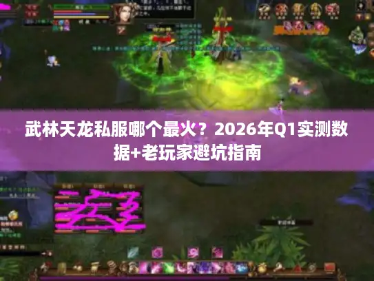 武林天龙私服哪个最火？2026年Q1实测数据+老玩家避坑指南