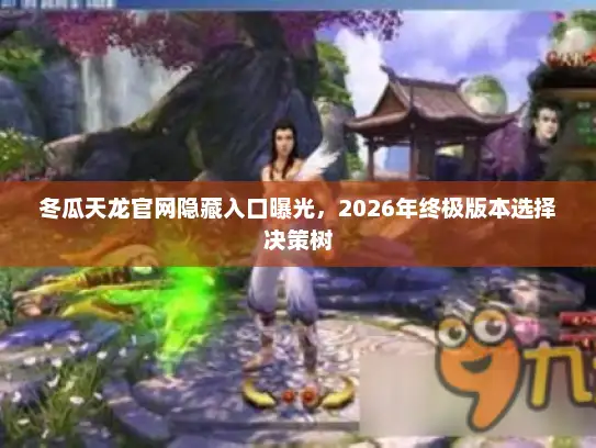 冬瓜天龙官网隐藏入口曝光，2026年终极版本选择决策树