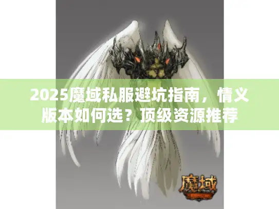 2025魔域私服避坑指南，情义版本如何选？顶级资源推荐