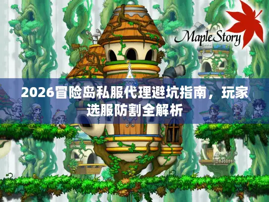 2026冒险岛私服代理避坑指南，玩家选服防割全解析
