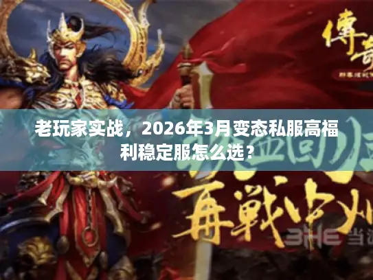 老玩家实战，2026年3月变态私服高福利稳定服怎么选？