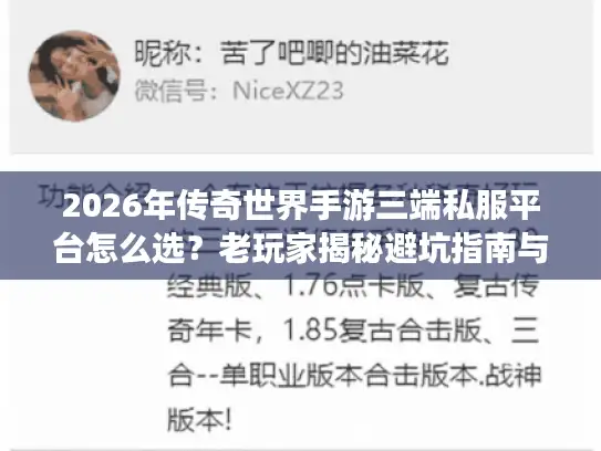 2026年传奇世界手游三端私服平台怎么选？老玩家揭秘避坑指南与实战攻略