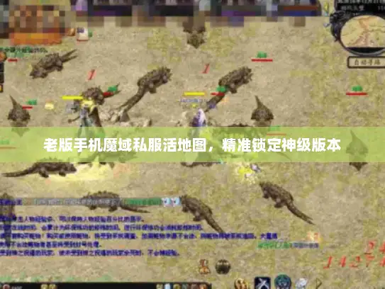 老版手机魔域私服活地图，精准锁定神级版本