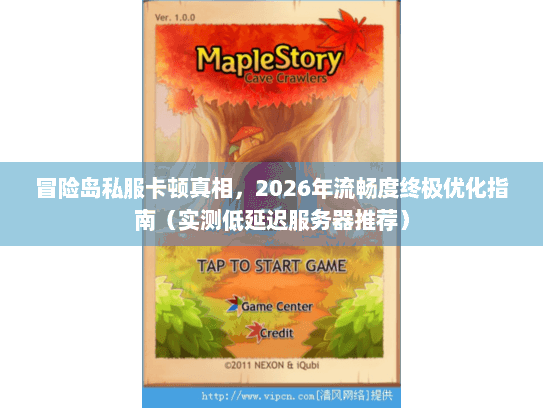 冒险岛私服卡顿真相，2026年流畅度终极优化指南（实测低延迟服务器推荐）
