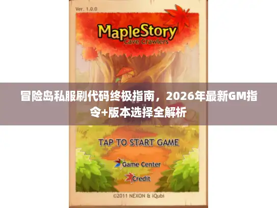 冒险岛私服刷代码终极指南,2026年最新GM指令+版本选择全解析 冒险岛私服刷代码终极指南,2026年最新GM指令+版本选择全解析