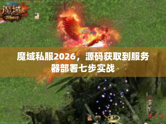 魔域私服2026，源码获取到服务器部署七步实战