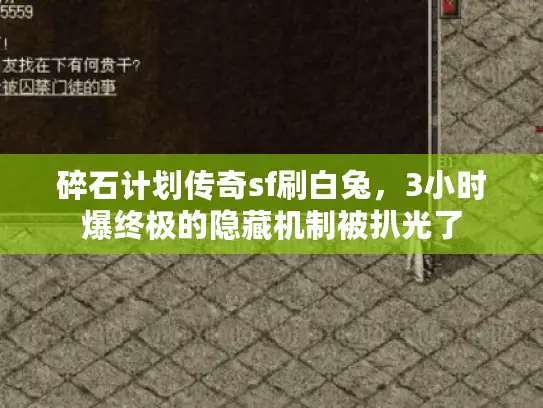 碎石计划传奇sf刷白兔，3小时爆终极的隐藏机制被扒光了
