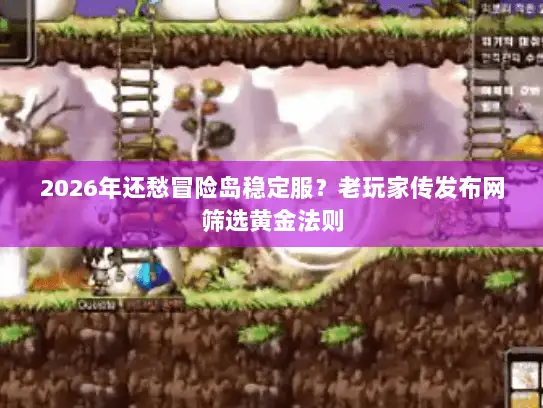 2026年还愁冒险岛稳定服？老玩家传发布网筛选黄金法则