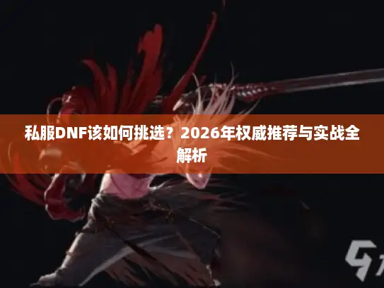私服DNF该如何挑选？2026年权威推荐与实战全解析