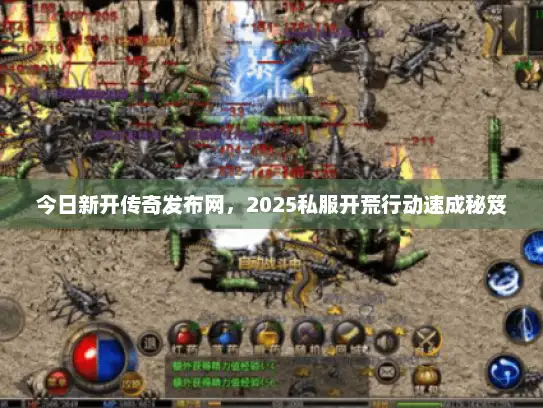 今日新开传奇发布网，2025私服开荒行动速成秘笈