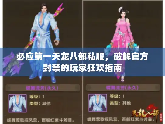 必应第一天龙八部私服,破解官方封禁的玩家狂欢指南 必应第一天龙八部私服,破解官方封禁的玩家狂欢指南