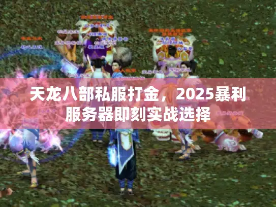 天龙八部私服打金，2025暴利服务器即刻实战选择
