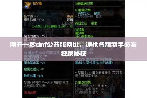 刚开一秒dnf公益服网址，速抢名额新手必看独家秘技