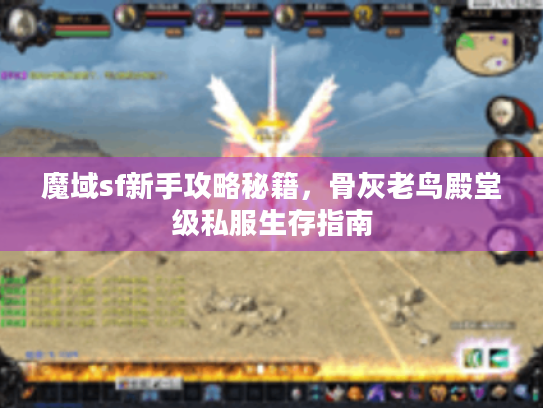 魔域sf新手攻略秘籍，骨灰老鸟殿堂级私服生存指南