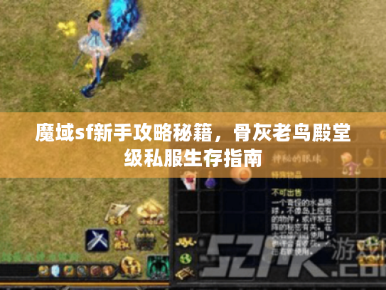 魔域sf新手攻略秘籍，骨灰老鸟殿堂级私服生存指南