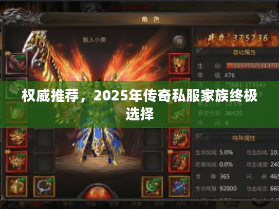 权威推荐，2025年传奇私服家族终极选择