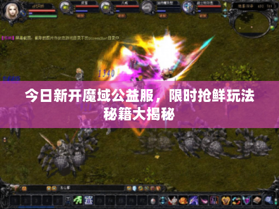 今日新开魔域公益服，限时抢鲜玩法秘籍大揭秘