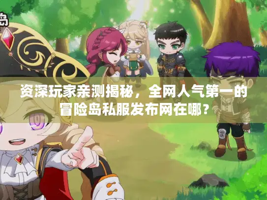 资深玩家亲测揭秘，全网人气第一的冒险岛私服发布网在哪？