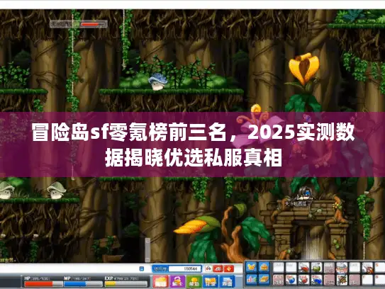 冒险岛sf零氪榜前三名，2025实测数据揭晓优选私服真相