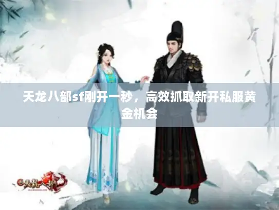 天龙八部sf刚开一秒，高效抓取新开私服黄金机会