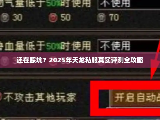 还在踩坑？2025年天龙私服真实评测全攻略