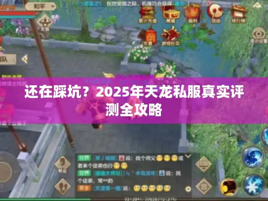 还在踩坑？2025年天龙私服真实评测全攻略