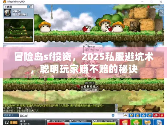 冒险岛sf投资，2025私服避坑术，聪明玩家赚不赔的秘诀