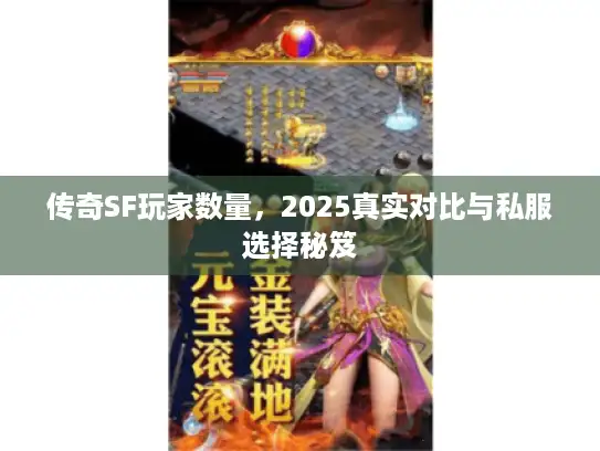 传奇SF玩家数量，2025真实对比与私服选择秘笈