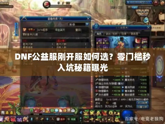 DNF公益服刚开服如何选？零门槛秒入坑秘籍曝光