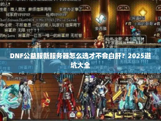 DNF公益服新服务器怎么选才不会白肝？2025避坑大全