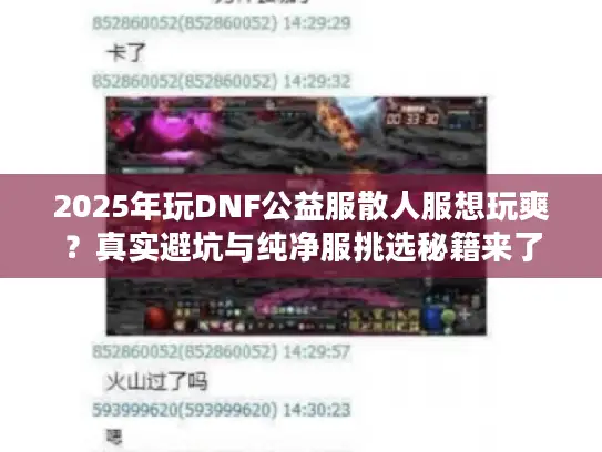 2025年玩DNF公益服散人服想玩爽？真实避坑与纯净服挑选秘籍来了