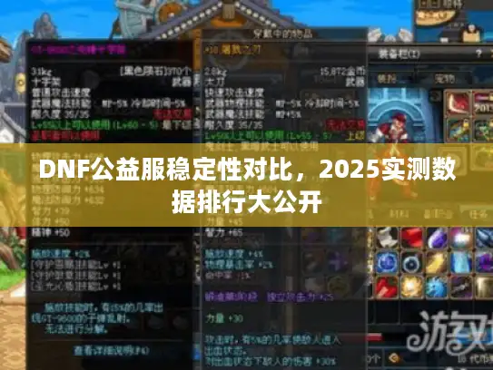 DNF公益服稳定性对比，2025实测数据排行大公开