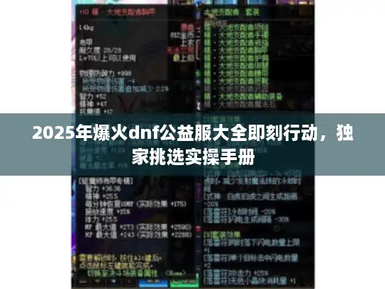 2025年爆火dnf公益服大全即刻行动,独家挑选实操手册 2025年爆火dnf公益服大全即刻行动,独家挑选实操手册