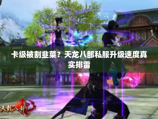 卡级被割韭菜？天龙八部私服升级速度真实排雷