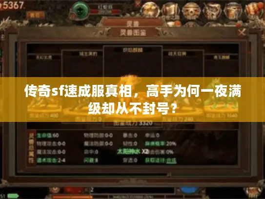 传奇sf速成服真相，高手为何一夜满级却从不封号？