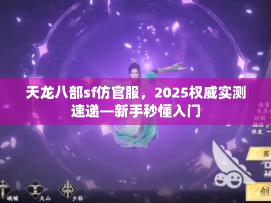 天龙八部sf仿官服，2025权威实测速递—新手秒懂入门