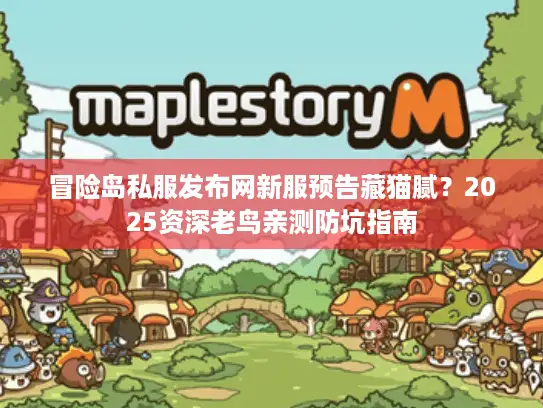 冒险岛私服发布网新服预告藏猫腻？2025资深老鸟亲测防坑指南