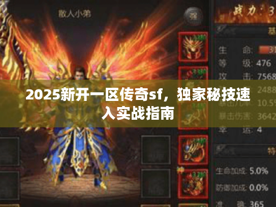 2025新开一区传奇sf，独家秘技速入实战指南