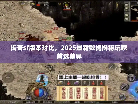 传奇sf版本对比，2025最新数据揭秘玩家首选差异