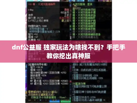 dnf公益服 独家玩法为啥找不到?手把手教你挖出真神服 dnf公益服 独家玩法为啥找不到?手把手教你挖出真神服