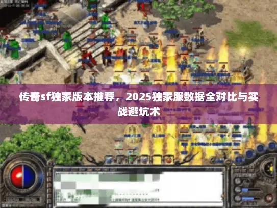 传奇sf独家版本推荐，2025独家服数据全对比与实战避坑术