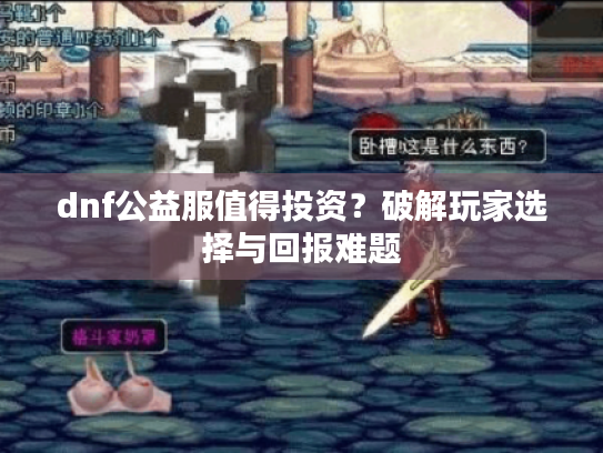dnf公益服值得投资？破解玩家选择与回报难题