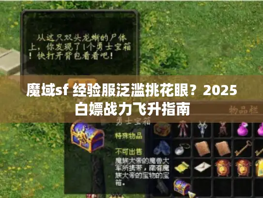 魔域sf 经验服泛滥挑花眼？2025白嫖战力飞升指南